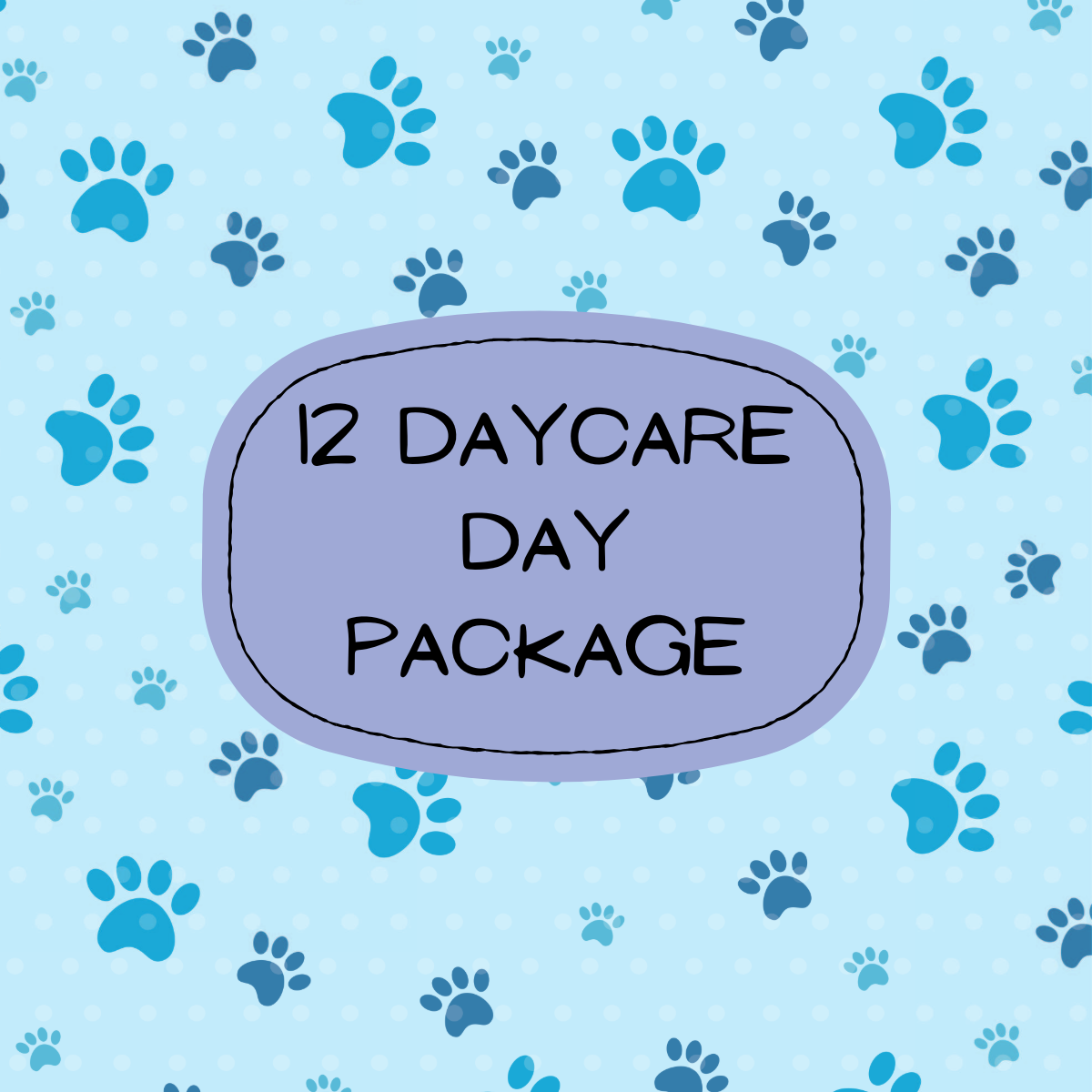 12 daycare day Package
