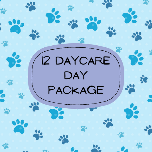 12 daycare day Package
