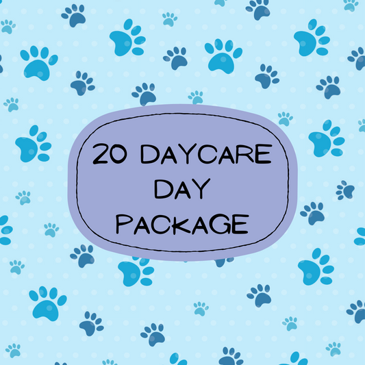 20 daycare day Package