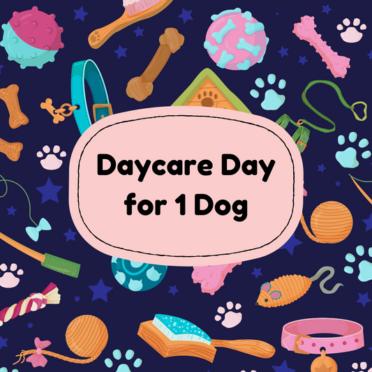 Daycare Day for 1 dog