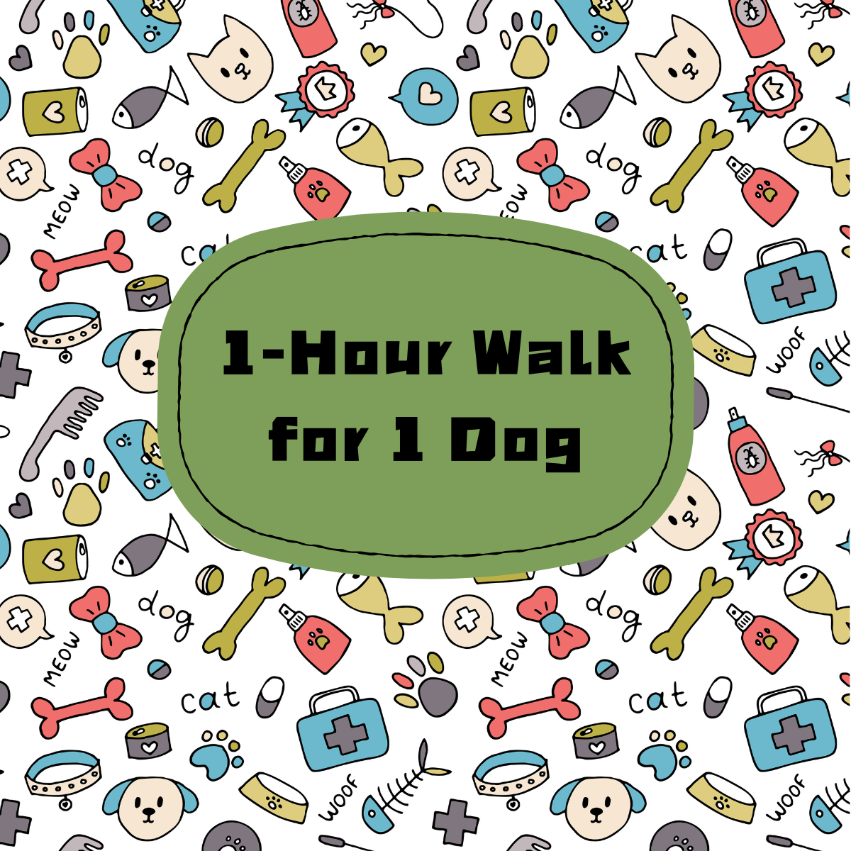1 hour Walk for 1 dog