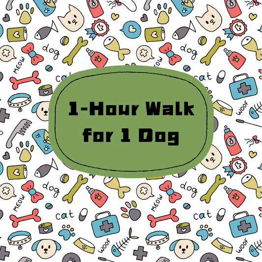 1 hour Walk for 1 dog