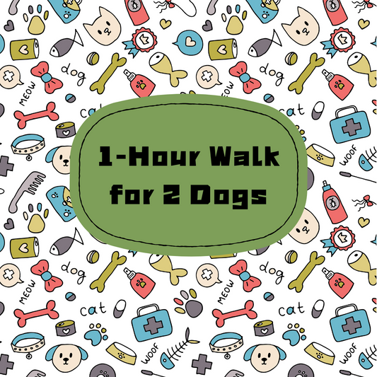 1 hour Walk for 2 dogs