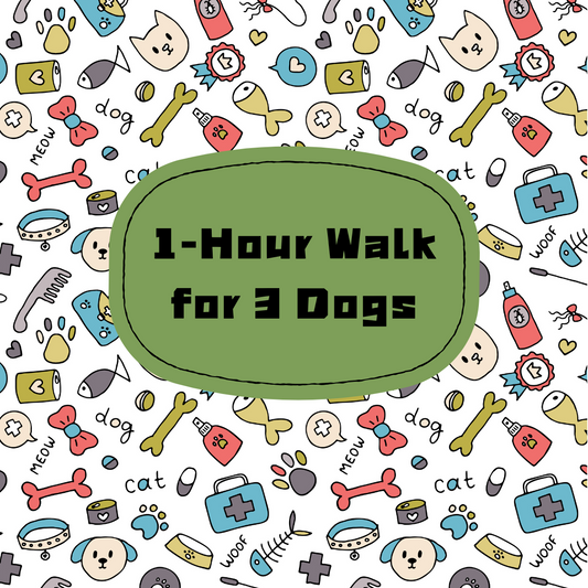 1 hour Walk for 3 dogs