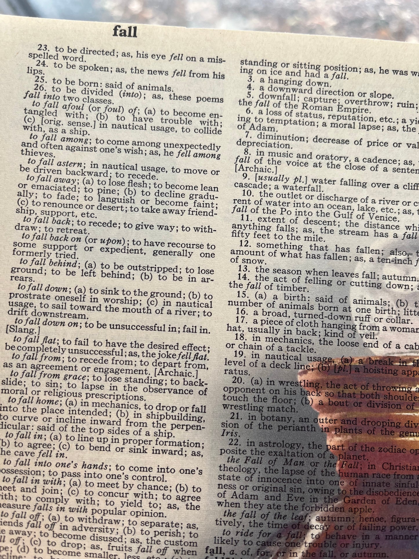 Vintage Dictionary Print