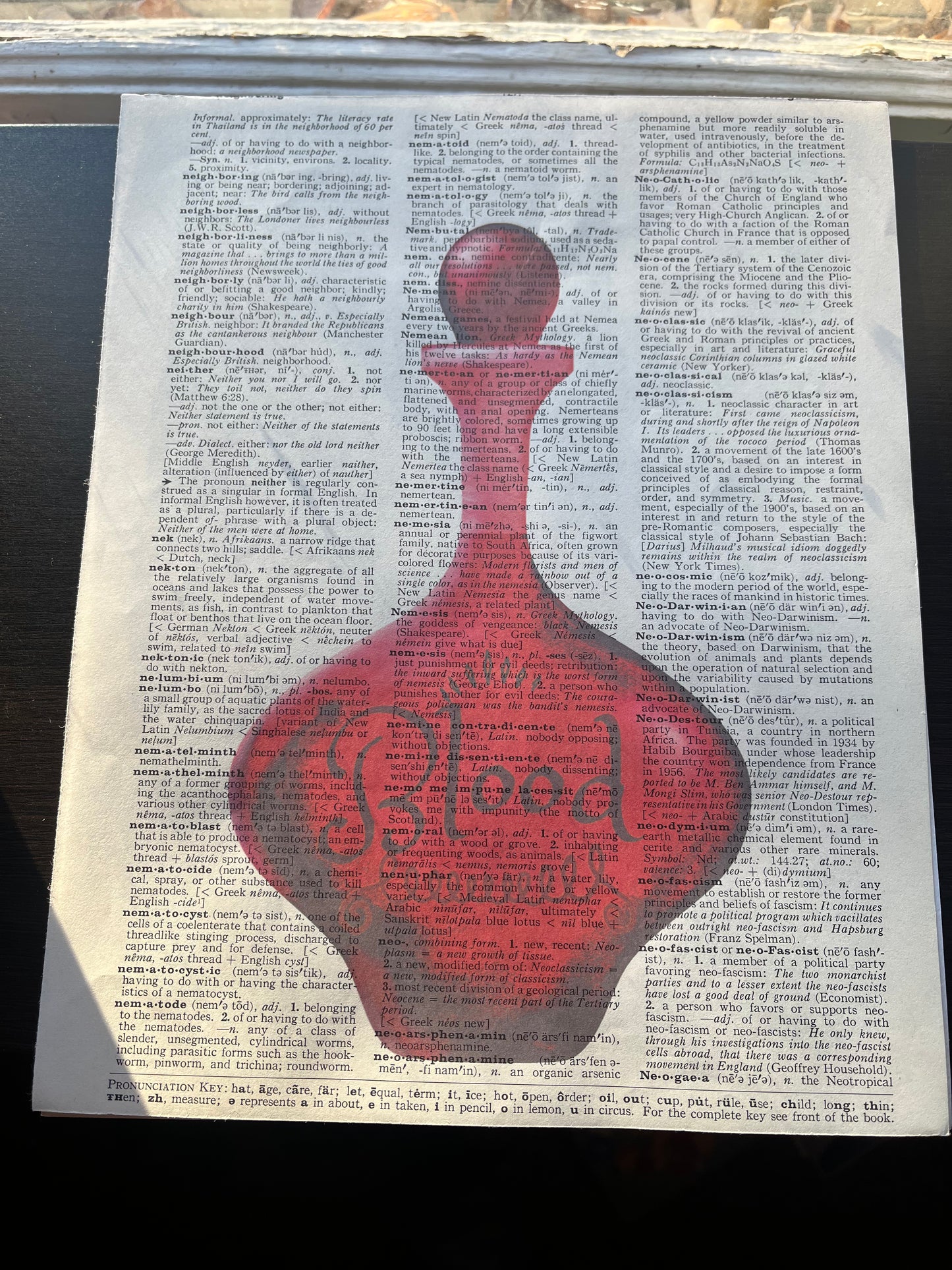 Vintage Dictionary Print